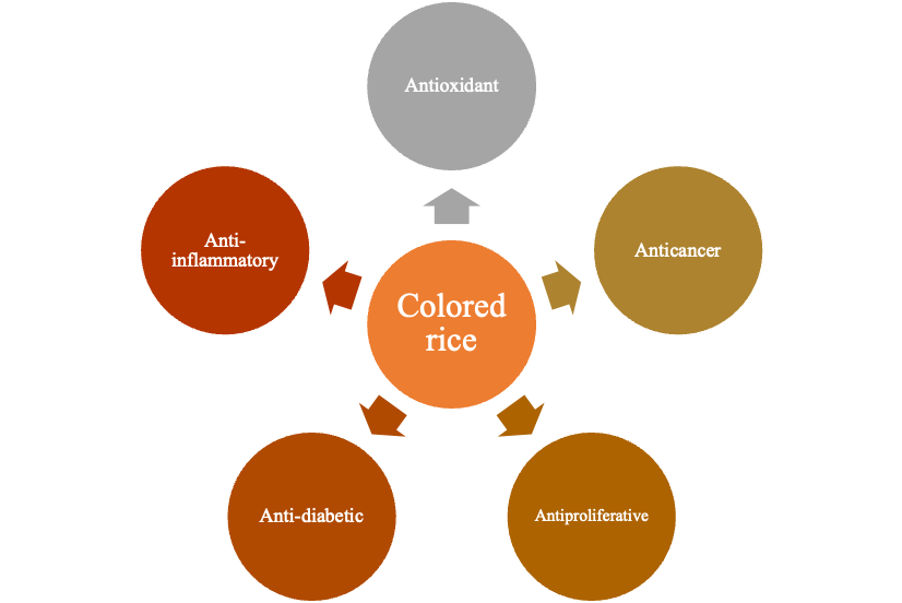 Graphical Abstract